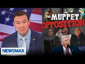 Read more about the article Carl Higbie: ‘You either love America or you’re a Democrat’