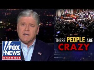 Read more about the article Hannity: Trump is right… Dems are CRAZY