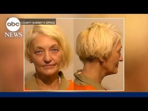 Read more about the article Svetlana ‘the stowaway’ Dali allegedly snuck onto another flight: Sources