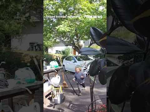 You are currently viewing TERRIFYING video shows coyote chasing toddler outside CA home #shorts #foxnews #us