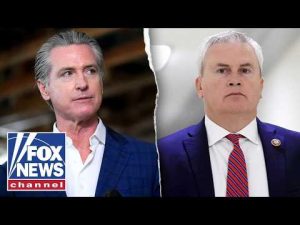 Read more about the article ‘RED FLAGS’: Whistleblower alleges Newsom knew about potential $3.5B California fraud