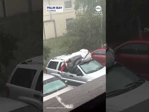 You are currently viewing Florida man puts body on the line to protect vehicle from falling hail