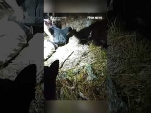 Read more about the article Police hunt down teens on CRIME SPREE #foxnews #news #us #fox