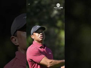 Read more about the article Tiger Woods involved in rollover crash in Florida, sheriff says