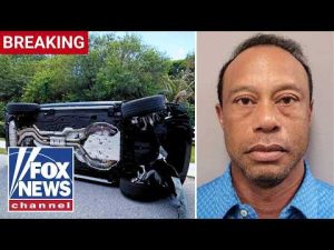 Read more about the article BREAKING: Tiger Woods’ mugshot released after golf legend crawls from overturned car, report says