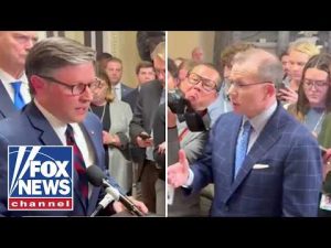 Read more about the article SEE IT: Mike Johnson PRESSED on long TSA lines