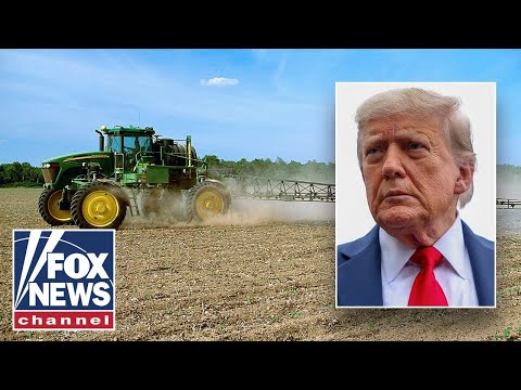 Read more about the article Farmer praises Trump for backing industry as costs rise