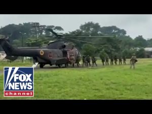 Read more about the article Illegal immigrants are not ‘fleeing’ war, they are ‘CAUSING WAR’: Drug czar