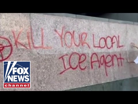 Read more about the article ‘KILL YOUR LOCAL ICE AGENT’: ‘No Kings’ protesters display violent rhetoric