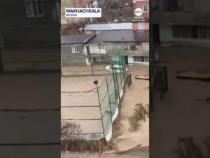 Read more about the article Vehicles washed away as flooding hits Russia’s Dagestan region