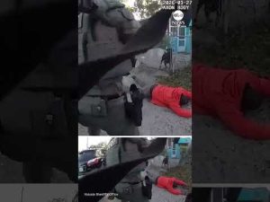 Read more about the article Alleged drug dealer hit by flying bag of cocaine as deputies move in