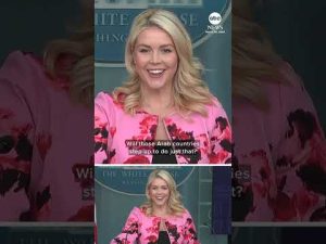 Read more about the article Trump ‘would be quite interested’ in calling Middle East allies to pay for war, Leavitt says