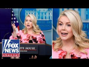 Read more about the article ‘That’s NOT what I said!’: Leavitt SHUTS DOWN reporter over Trump ‘war crimes’ question