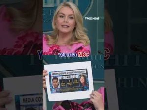 Read more about the article NEW: Karoline Leavitt puts the mainstream media on BLAST #shorts #foxnews #politics