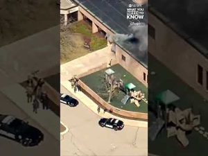 Read more about the article Michigan synagogue attacker committed ‘Hezbollah-inspired act of terrorism’, according to FBI