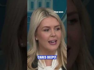 Read more about the article CALLED OUT: Karoline Leavitt decries CNN for ‘disingenuous’ coverage #shorts #usa #us #foxnews