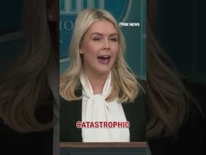 Read more about the article Leavitt: President Trump DOES NOT bluff