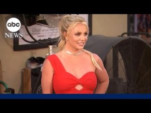 Read more about the article Britney Spears arrested on suspected DUI