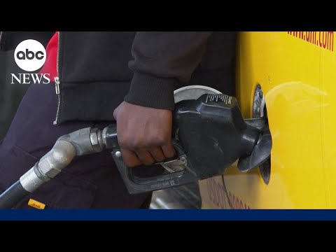 You are currently viewing White House moves to ease rising oil prices