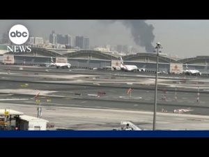 Read more about the article American stranded in Qatar: ‘It’s been absolutely horrifying’