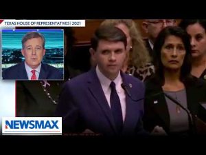 Read more about the article Ed Henry: Dems only seem to have stupidity mixed with Trump Derangement Syndrome