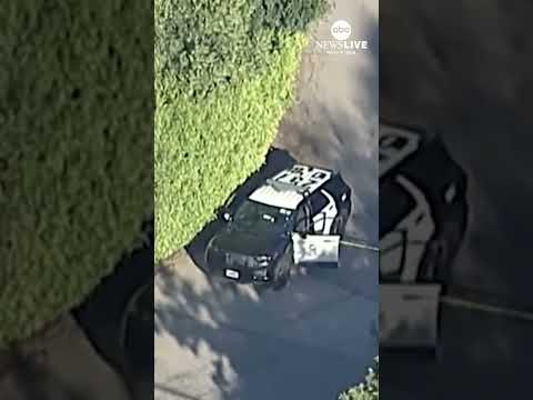 Read more about the article Rihanna’s mansion hit with bullets