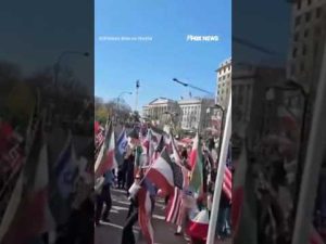 Read more about the article Celebrations outside White House after US-led strikes on Iran #foxnews #news #whitehouse #iran