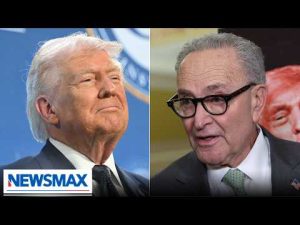 Read more about the article Dems refuse to budge on voter ID; filibuster in jeopardy | The Right Squad