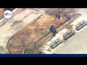 Read more about the article NYPD searching park days after terror arrests