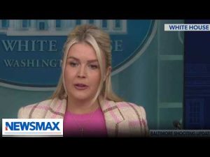 Read more about the article LEAVITT: Iran chose path of death and destruction