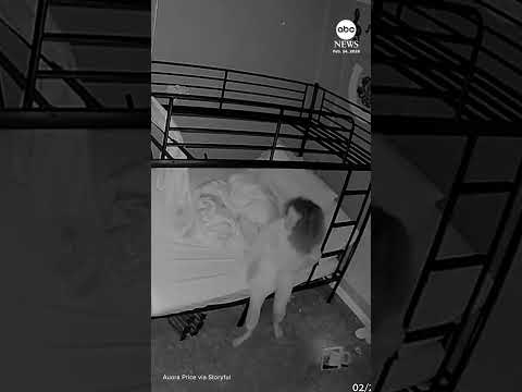 You are currently viewing Bunk bed collapses as child sleeps on bottom bunk