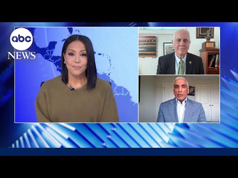 You are currently viewing What are sleeper cells?