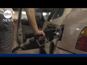 Read more about the article Inflation held steady in February before war with Iran sent gas prices surging