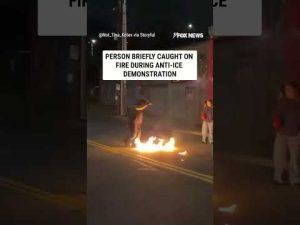 Read more about the article Person briefly catches on FIRE during anti-ICE demonstration #foxnews #news #us #fox