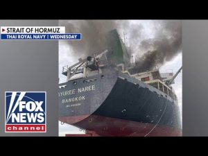 Read more about the article Thai Navy says cargo ship ATTACKED in Strait of Hormuz