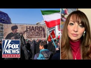Read more about the article ‘FINISH THE JOB’: Iranian-American activist reveals message from family still in Iran