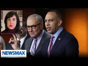 Read more about the article It’s shocking Schumer, Jeffries shut down DHS now: Nicole Malliotakis | Bianca Across The Nation