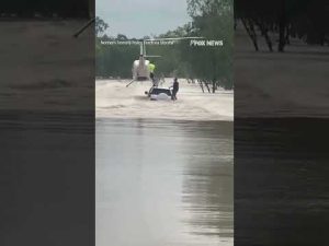 Read more about the article DARING RESCUE: Helicopter lands on flooded vehicle to rescue two men and a dog