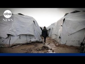 Read more about the article How children are being affected by war in the Middle East