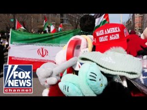 Read more about the article ‘HYPOCRITICAL’: Iranian expert SLAMS pro-regime protesters in the West