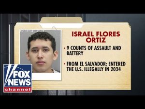 Read more about the article Illegal immigrant CHARGED after allegedly groping classmates