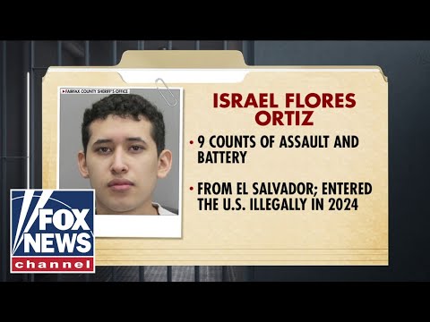 Read more about the article Illegal immigrant CHARGED after allegedly groping classmates