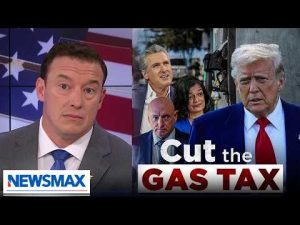 Read more about the article Carl Higbie calls for gas tax holiday from Dems’ high prices