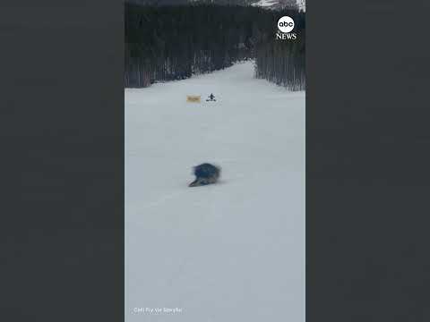 Read more about the article Huge porcupine spotted on the slopes in Colorado