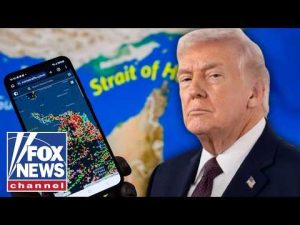 Read more about the article WATCH: Trump DEMANDS other nations help reopen Strait of Hormuz