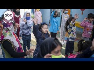 Read more about the article Pleas for aid increase as refugee crisis expands across the Middle East