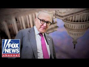 Read more about the article These are all common sense issues, GOP senator says