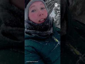 Read more about the article Woman creates makeshift dog sled amid Michigan blizzard