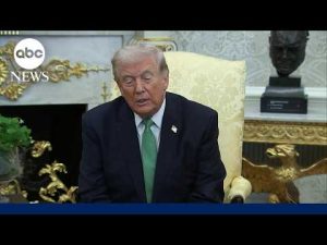 Read more about the article Trump says US doesn’t ‘need’ NATO allies for Iran war