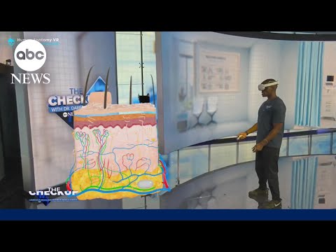 You are currently viewing What happens to your skin when you get burned?